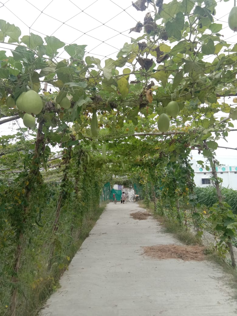 more Image